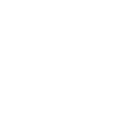 vishay